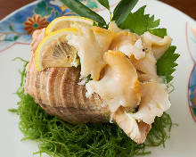Whelk sashimi