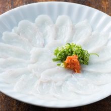 Thinly sliced pufferfish sashimi