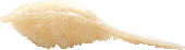 Flounder fin meat Flounder fin meat