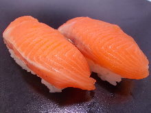 Salmon