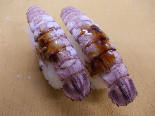 Shako(mantis shrimp)