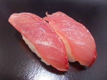 Bluefin tuna