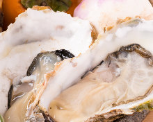 Raw oyster