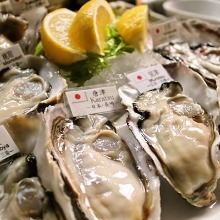 Oysters