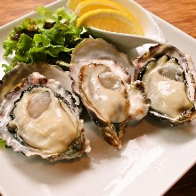 Oysters