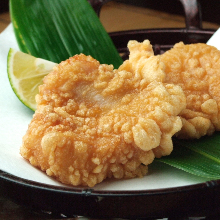 Fried pufferfish