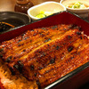 Specially Selected Unaju (broiled eel served over rice in a lacquered box)