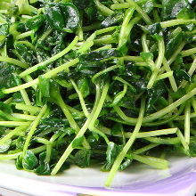 Stir-fried pea shoots