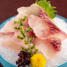 Slices of carp sashimi rinsed in cold water