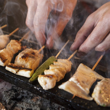 Other Yakitori / skewers