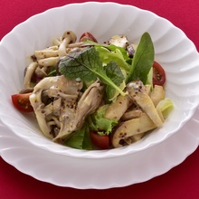 Mushroom salad