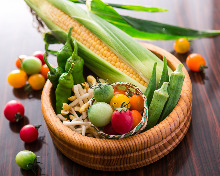 Vegetable salad