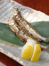 Seared shishamo smelt