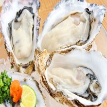 Raw oyster