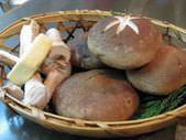 Shiitake Mushrooms