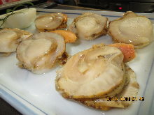 Scallops