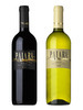 Wine Wine