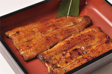 Grilled eel