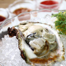 Raw oyster