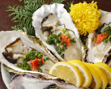 Raw oyster