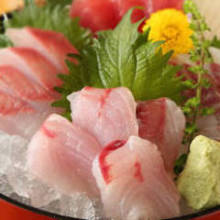 Sashimi