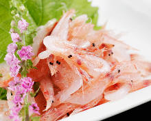 Sashimi