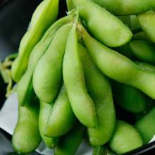 Edamame beans