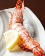 Salted and grilled prawn