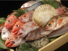 Grilled fish