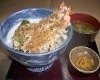 Shrimp Tempura on Rice Bowl