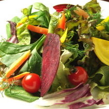 Mixed salad