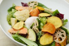 Vegetable salad