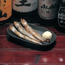 Seared shishamo smelt