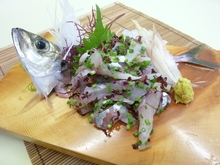 Live horse mackerel sashimi