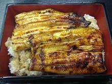 Eel served over rice in a lacquered box