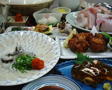 Japanese pufferfish Japanese pufferfish