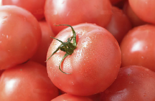 Sliced tomatoes