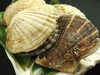 Scallop in shell sautéed with butter