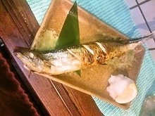 Salted and grilled saury