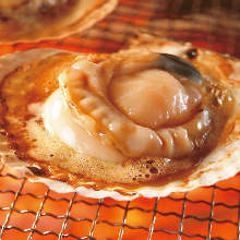 Grilled scallop