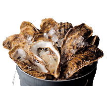 Raw oyster