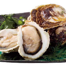 Raw oyster