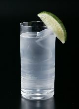 Gin and Tonic