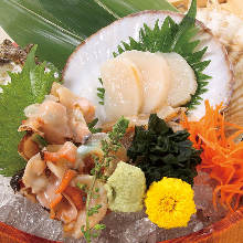 Assorted shellfish sashimi