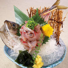 Live horse mackerel sashimi