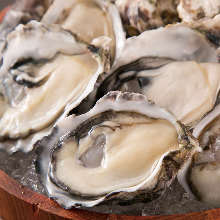 Raw oyster