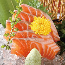 Salmon sashimi