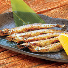 Other grilled fish