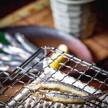 Salted and grilled silver-stripe round herring