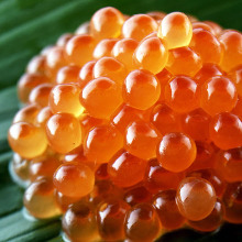 Ikura(salmon roe)